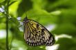 DSC_8816.JPG